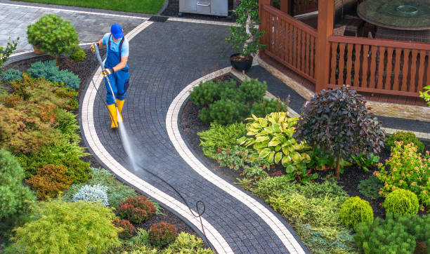 Best Local Pressure Washing Services  in Orchard City, CO