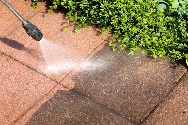 Best Commercial Building Pressure Washing  in Orchard City, CO