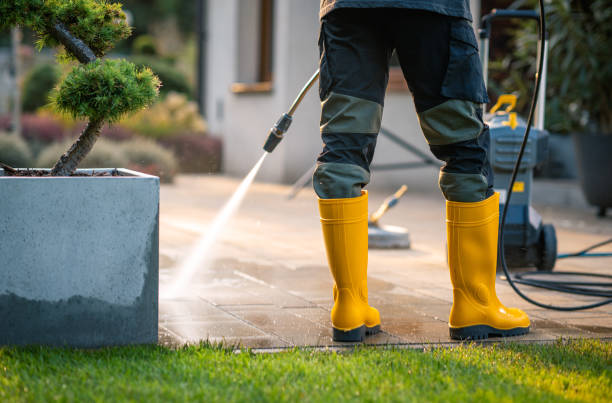 Best Affordable Power Washing  in Orchard City, CO